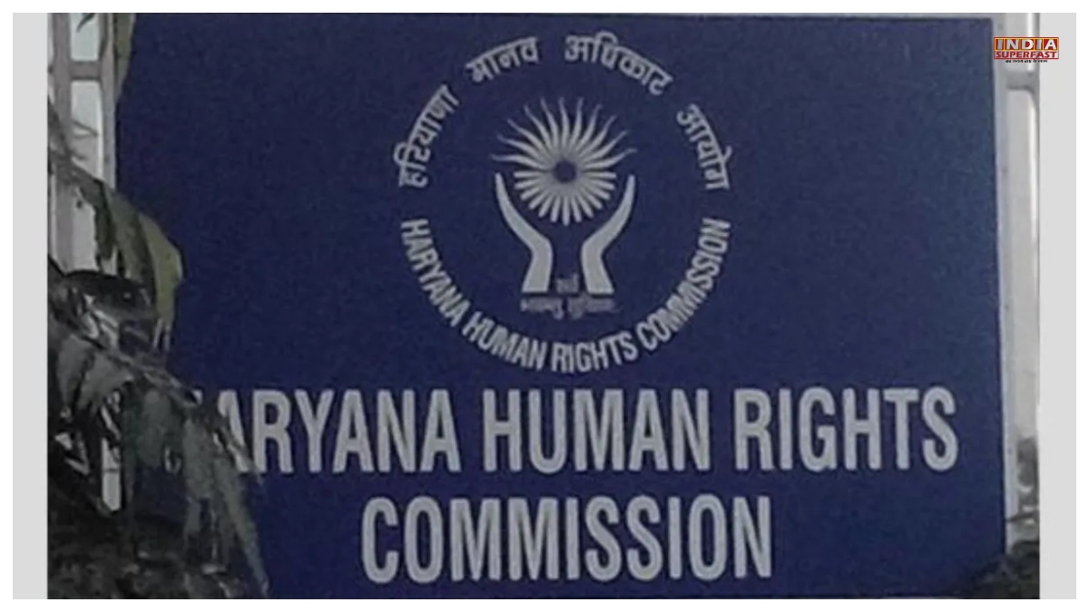 Haryana News