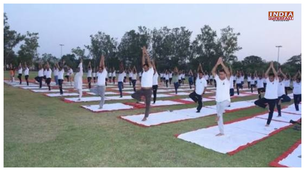 Haryana News