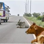 Haryana News