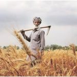 Haryana News